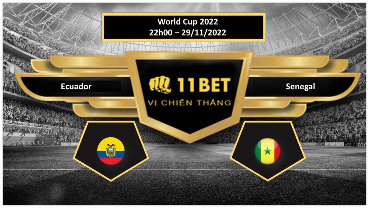 11BET Tip bóng đá Ecuador vs Senegal, hôm nay 29/11/2022