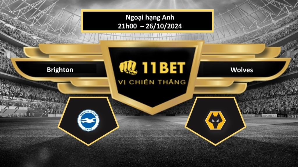 11BET Tip bóng đá Brighton vs Wolves, hôm nay 26/10/2024