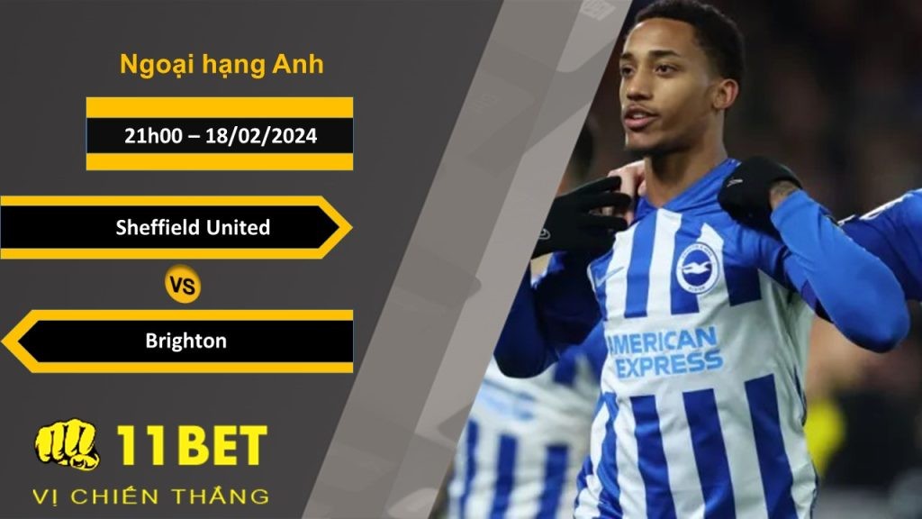 11BET Soi kèo  Sheffield United vs Brighton, 21h00, 18/02/2024
