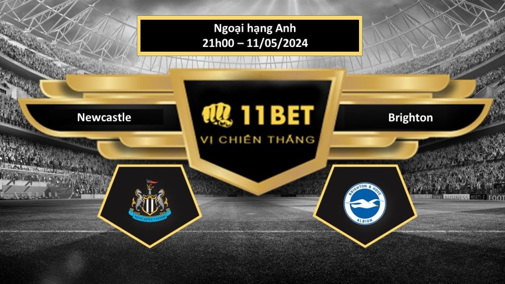 11BET Tip bóng đá Newcastle vs Brighton, hôm nay 11/05/2024