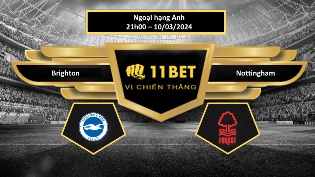 11BET Tip bóng đá   Brighton vs Nottingham , hôm nay 10/03/2024